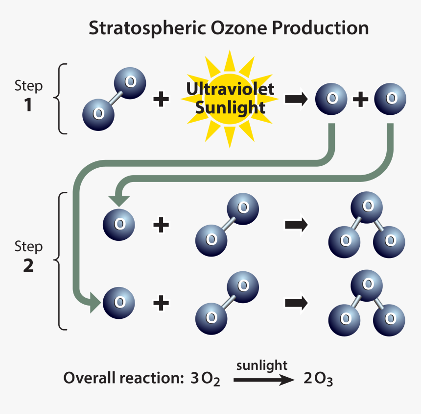 Chemical Process Of Ozone Depletion, HD Png Download - kindpng