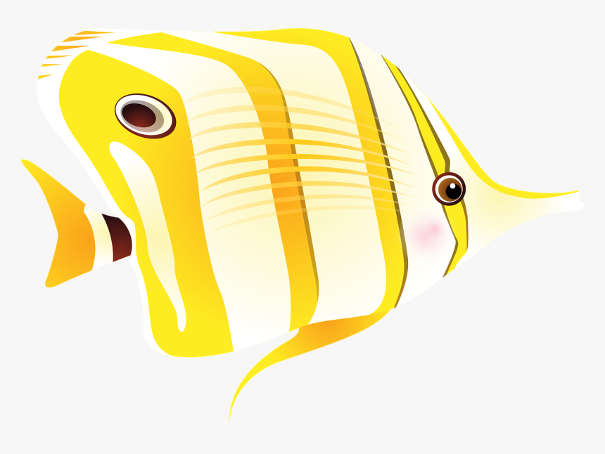 Sea Fish Adaptations, HD Png Download, Free Download
