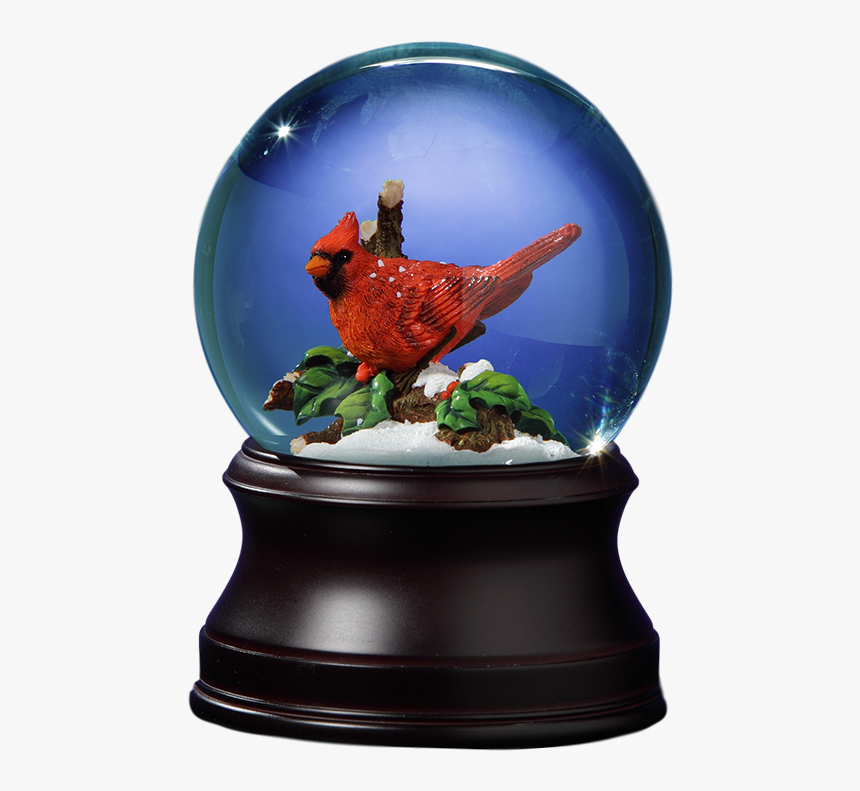 Transparent Snowglobe Png - Snow Globe, Png Download, Free Download
