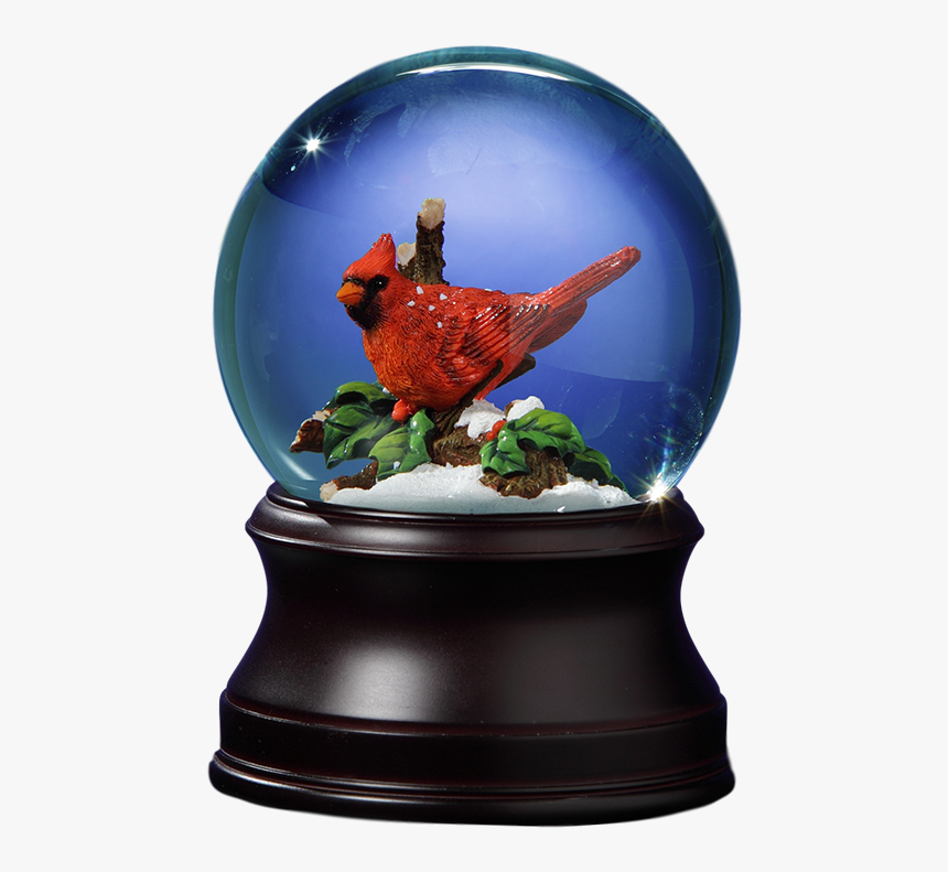 Transparent Snowglobe Png - Snow Globe, Png Download - kindpng