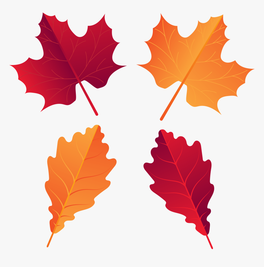 Canadian Leaf Png , Png Download, Transparent Png, Free Download