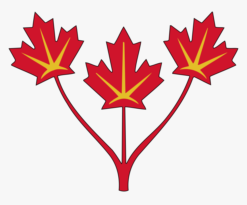 three maple leaves of canada three maple leaf flag hd png download kindpng three maple leaf flag hd png download