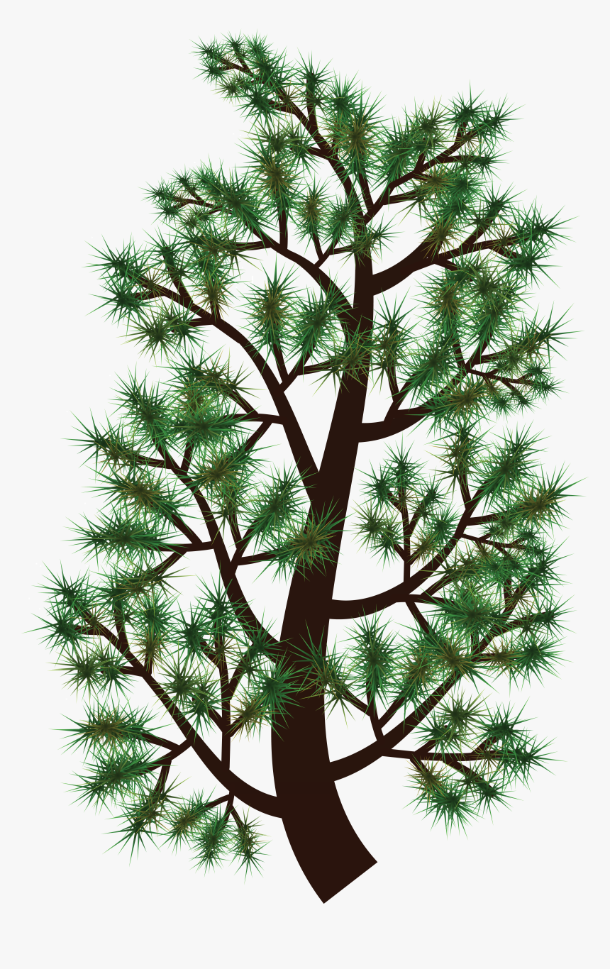 Free Clipart Of A Pine Tree Branch - Pine Treebranch Clipart, HD Png Download, Free Download