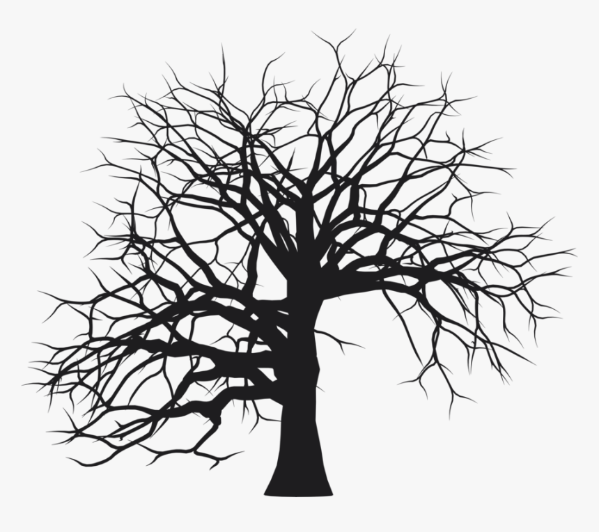 Botany,plant,leaf - Tree Branches Silhouette Png, Transparent Png, Free Download