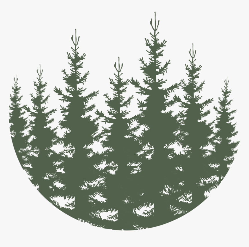 Forest - Green - Snowy Christmas Trees Png, Transparent Png, Free Download