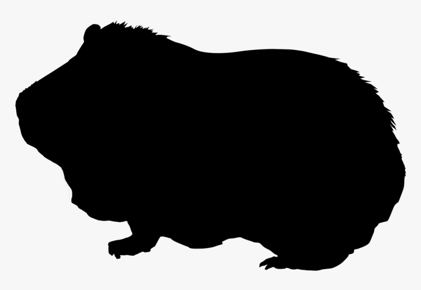 Guinea Pig Silhouette - Silhouette Guinea Pig Clipart, HD Png Download, Free Download