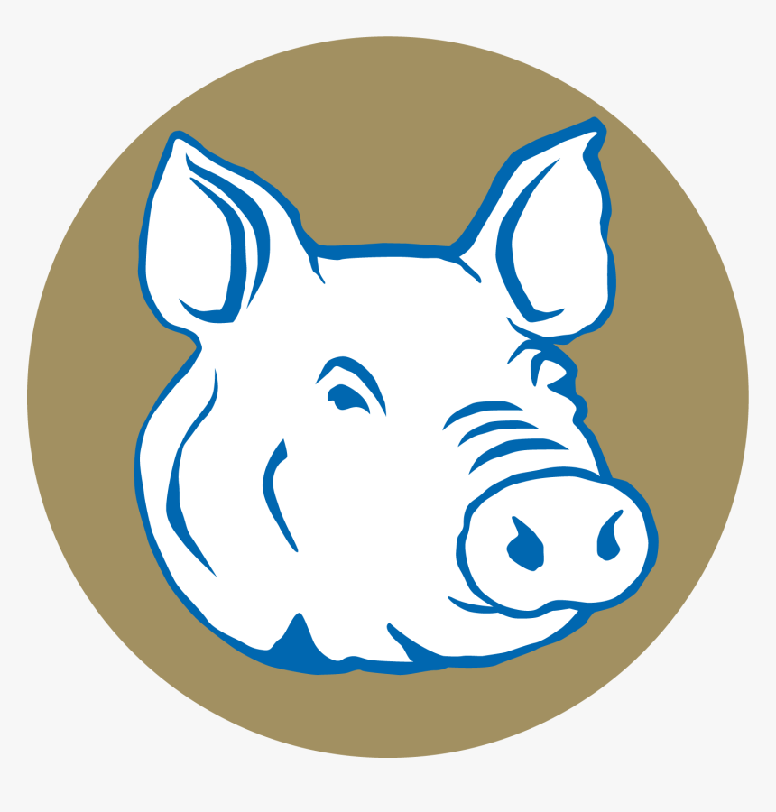 For Healthy Swine - Domestic Pig, HD Png Download, Free Download