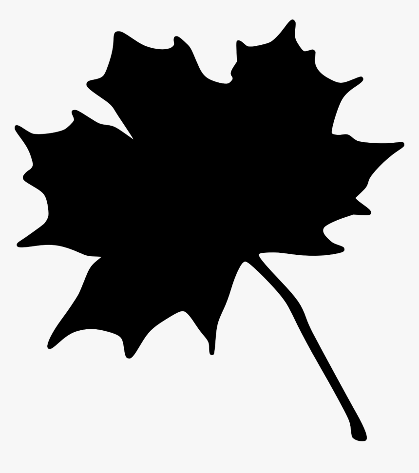 Maple Leaf Vector Graphics Portable Network Graphics - Maple, HD Png Download, Free Download