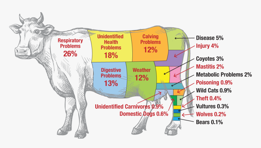 Cow And Calf Sketch, HD Png Download, Free Download