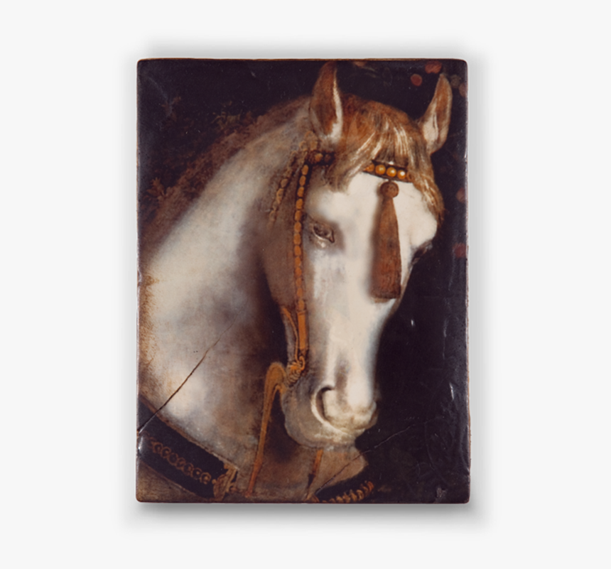 Sid Dickens Horse Tile, HD Png Download, Free Download