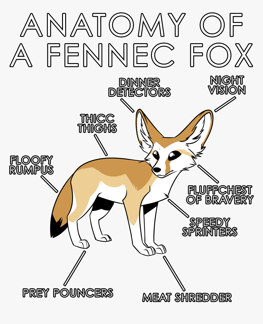 Anatomy Of A Fennec Fox , Png Download - Swift Fox, Transparent Png