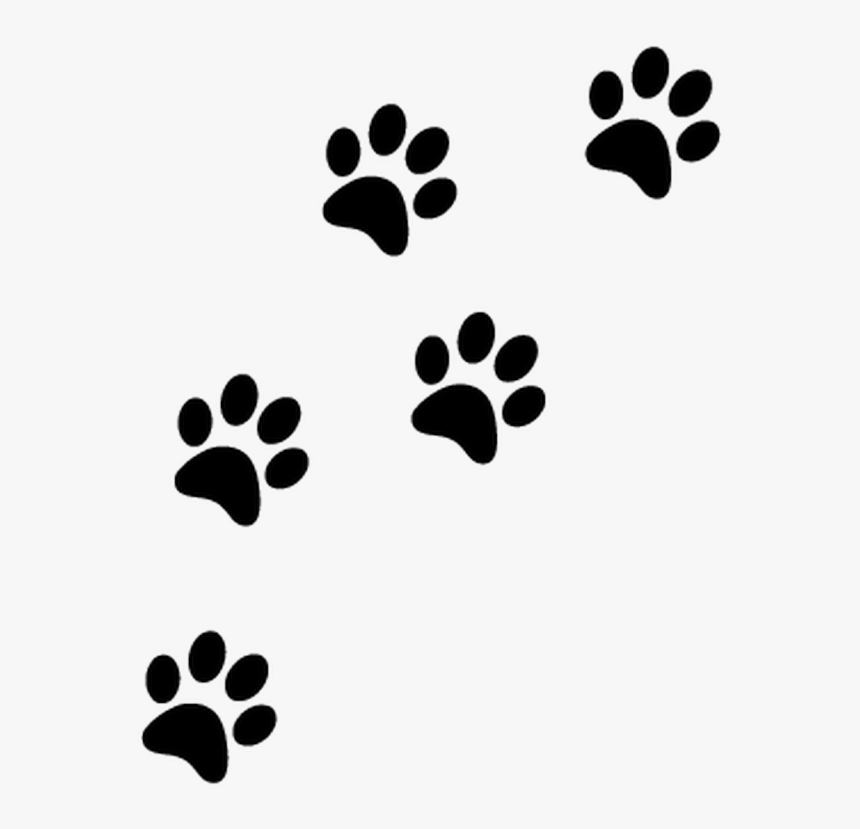 Paw print. Кошачьи следы. Отпечаток лапы кошки. Кошачья лапа отпечаток. След лапы кошки.