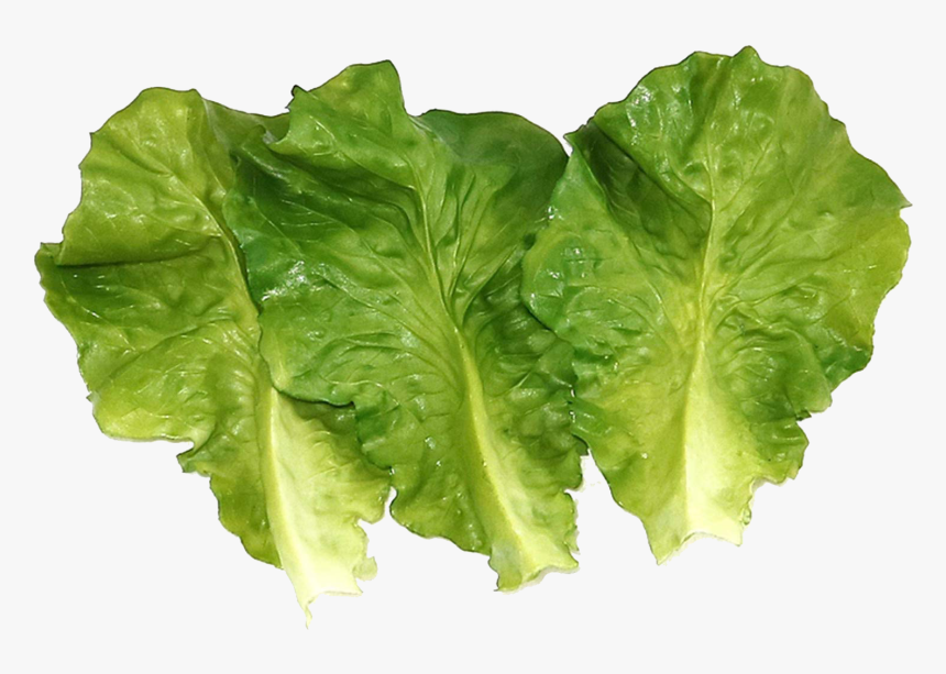 Vegetable Green Leaves Png Photo - Lettuce, Transparent Png, Free Download