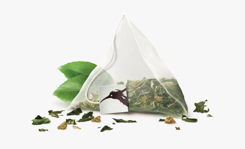 Herbal, HD Png Download - kindpng