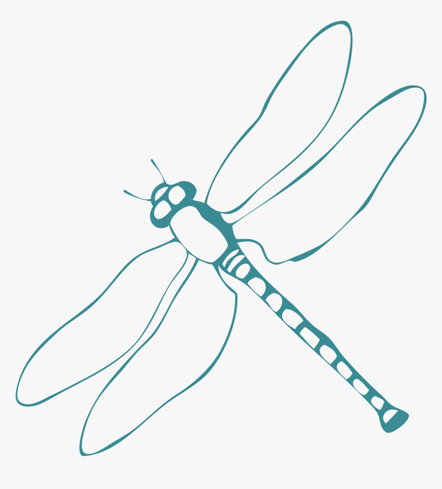 Logo - Net-winged Insects, HD Png Download - kindpng