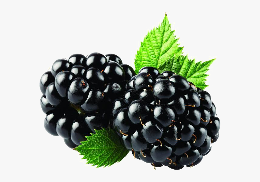 Blackberry Fruit Png Free Download - Blackberry Fruit Splash Png, Transparent Png, Free Download