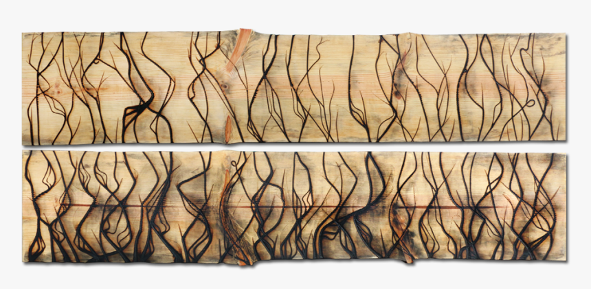 Burnt Panel Diptych No - Plywood, HD Png Download, Free Download