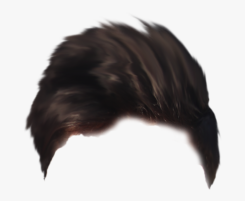 Hair Png Visual Tiger Face Mask Editing - Bird, Transparent Png, Free Download