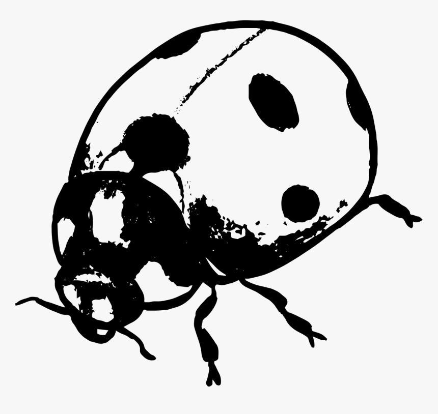 Ladybird Silhouette, HD Png Download, Free Download