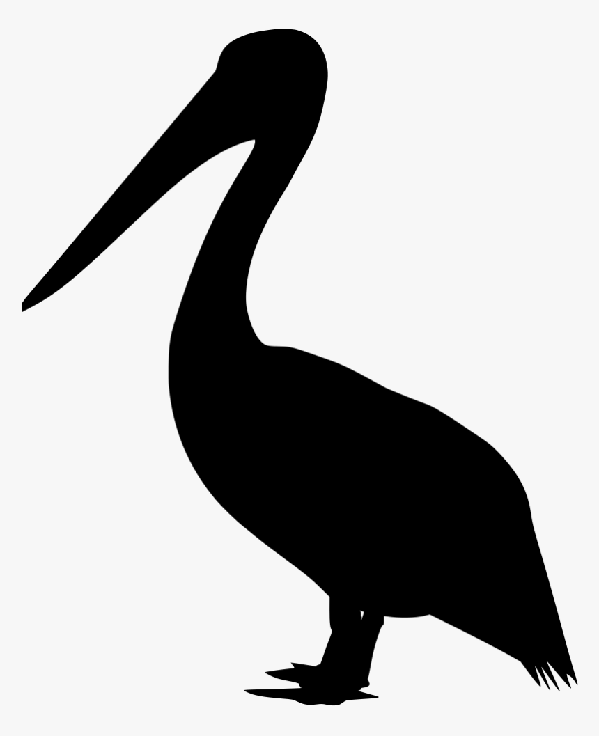 Pelican Svg Hd Png Download Kindpng