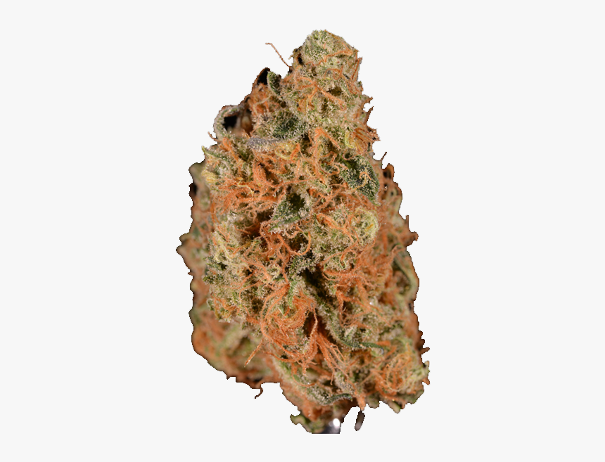 Monarch Grow Agent Orange Weed Tree Hd Png Download Kindpng