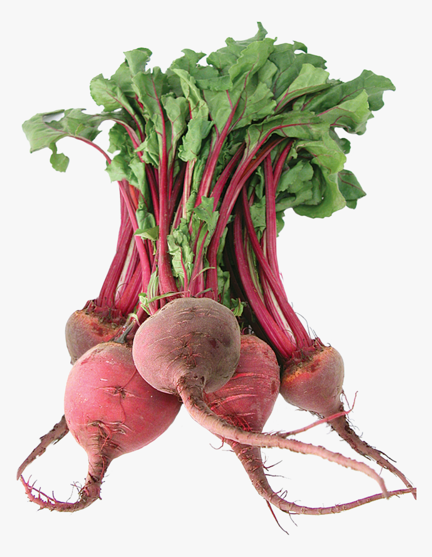 Beet Png Image - Vegetable Beetroot, Transparent Png, Free Download