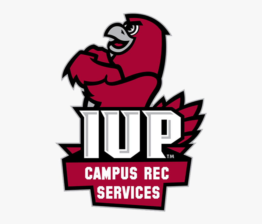 Fitness Clipart Intramurals - Indiana University Of Pa Mascot, HD Png Download, Free Download