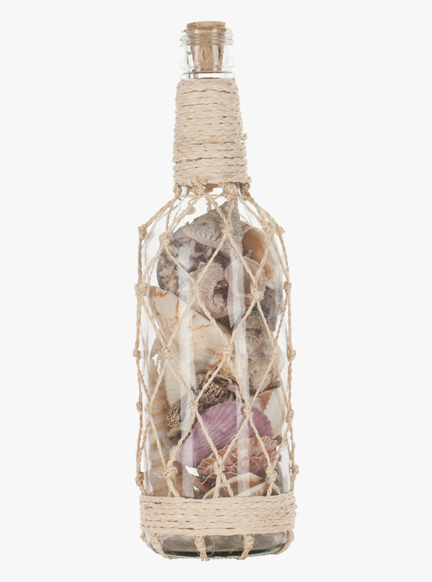 Shells In Bottle & Abaca 3x11" - Seashell, HD Png Download, Free Download