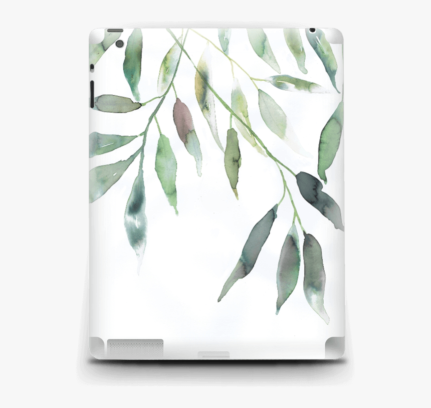 Transparent Ramas Png - Russian Olive, Png Download, Free Download