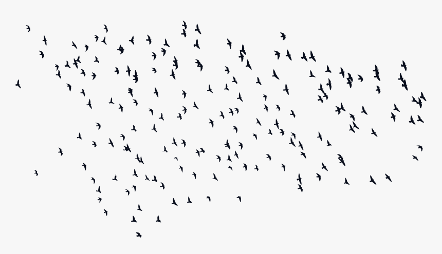 Birds Silhouette Png , Png Download - Flock, Transparent Png, Free Download