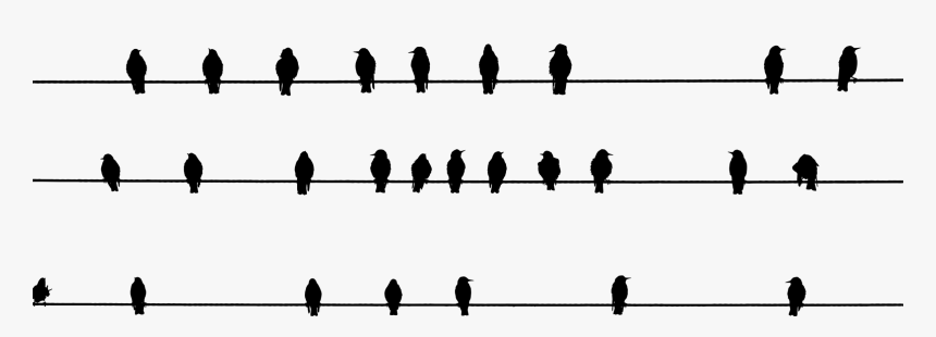 Bird Silhouettes Perched, HD Png Download, Free Download