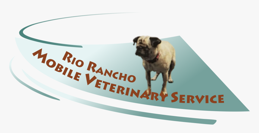 Rio Rancho Mobile Vet - Pug, HD Png Download, Free Download