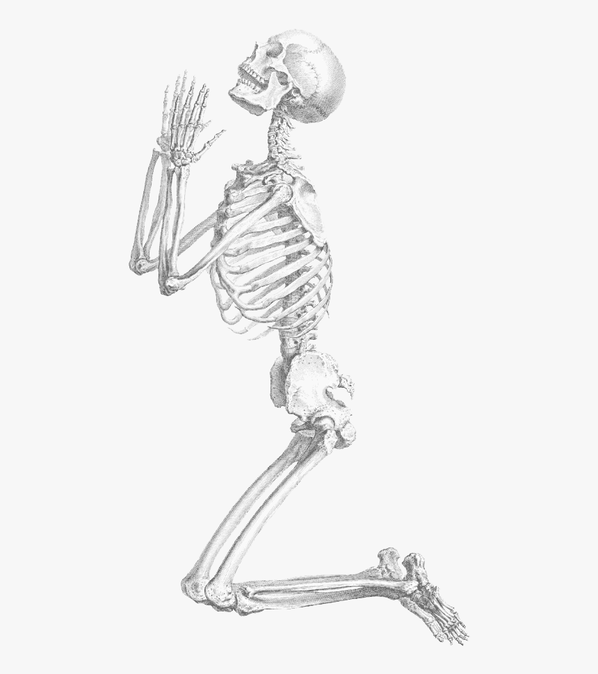 Halloween Skeleton Transparent Background - Praying Skeleton Png, Png Download, Free Download