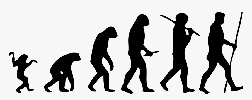 Human Evolution Scheme - Évolution De L Homme, HD Png Download, Free Download