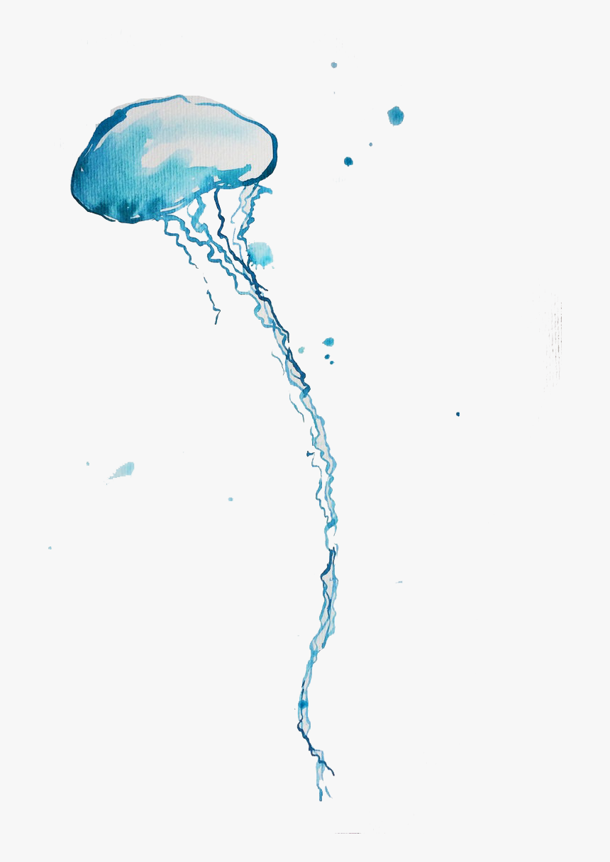 Blue Bottle Jellyfish Png Background - Blue Bottle Jellyfish Png, Transparent Png, Free Download