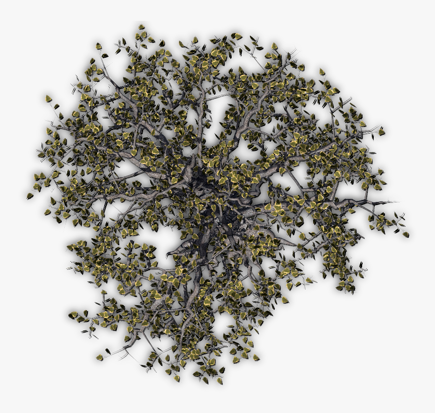 Flower Tree Png View, Transparent Png, Free Download