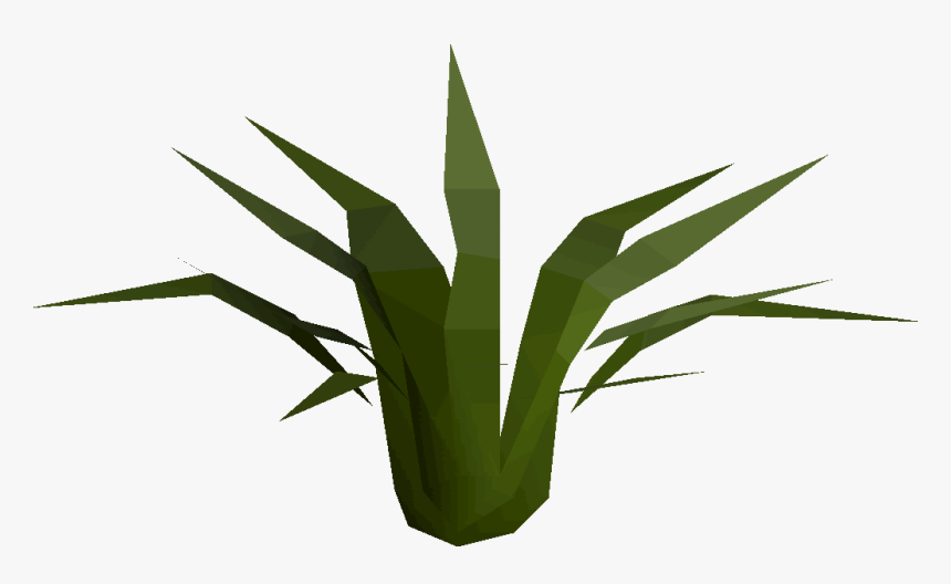 Agave, HD Png Download, Free Download