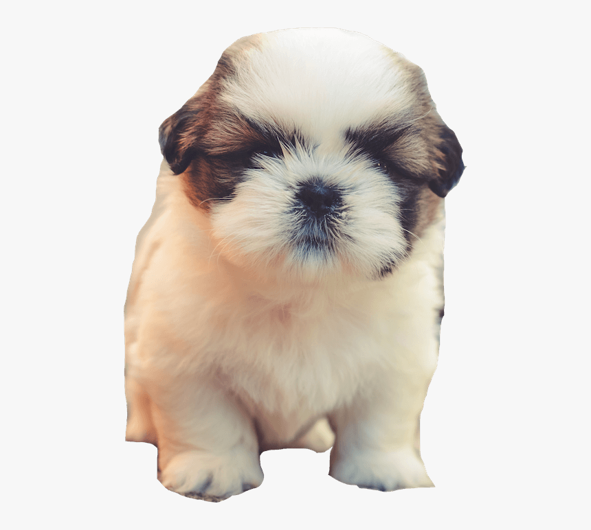 Transparent Alvin Png - Cute Puppy Good Morning, Png Download, Free Download