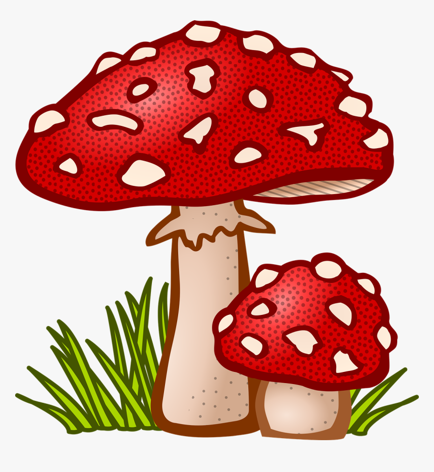 Mushroom Clipart, HD Png Download, Free Download