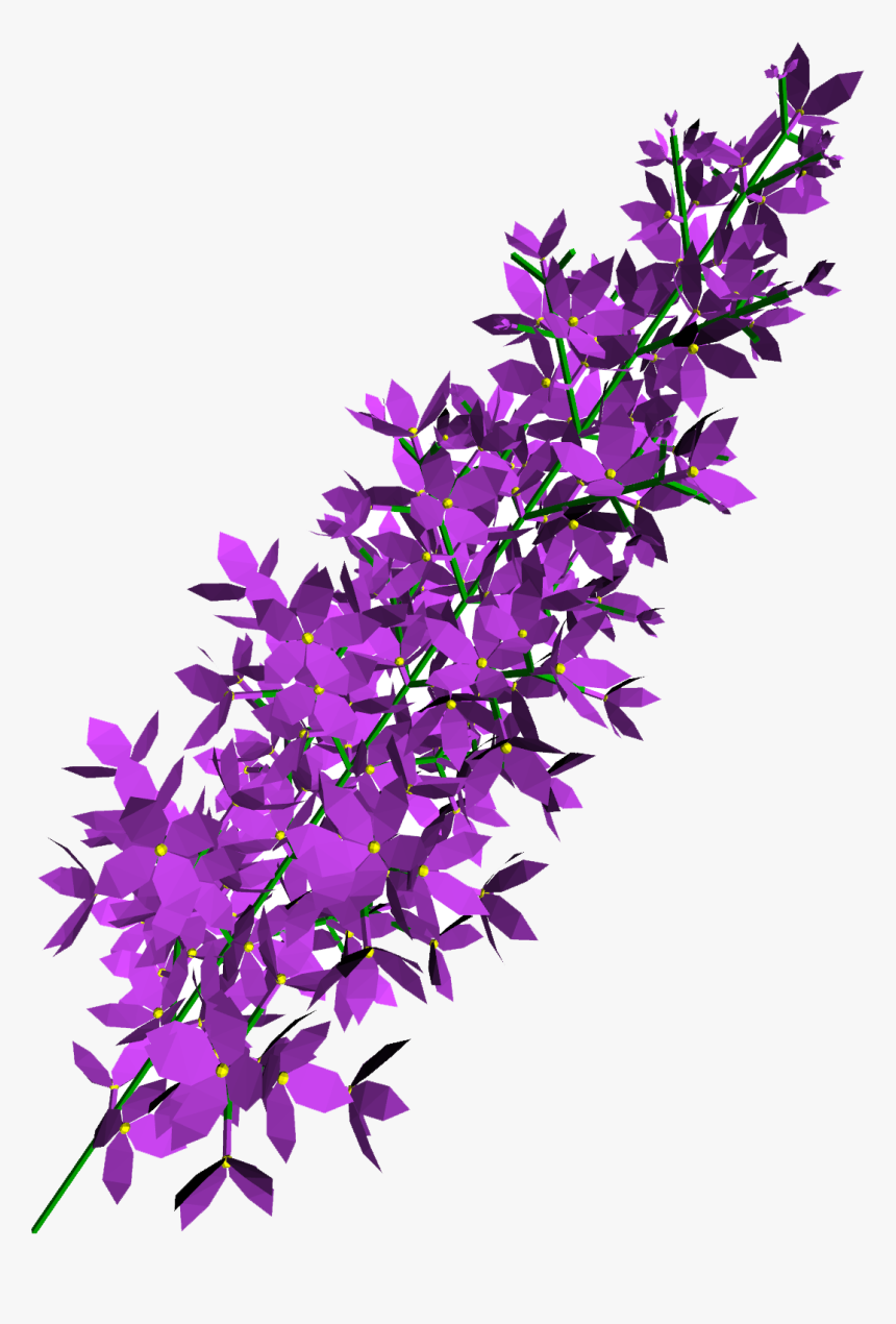 Lilac Png Transparent - Lilac Png, Png Download, Free Download