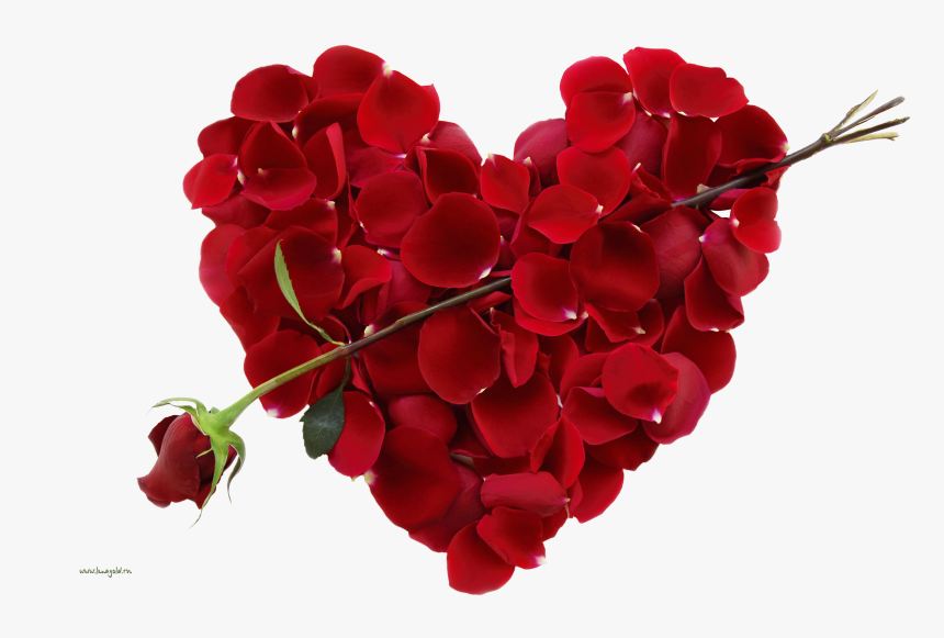 Download And Use Rose Transparent Png File - Valentines Day Flower Heart, Png Download, Free Download