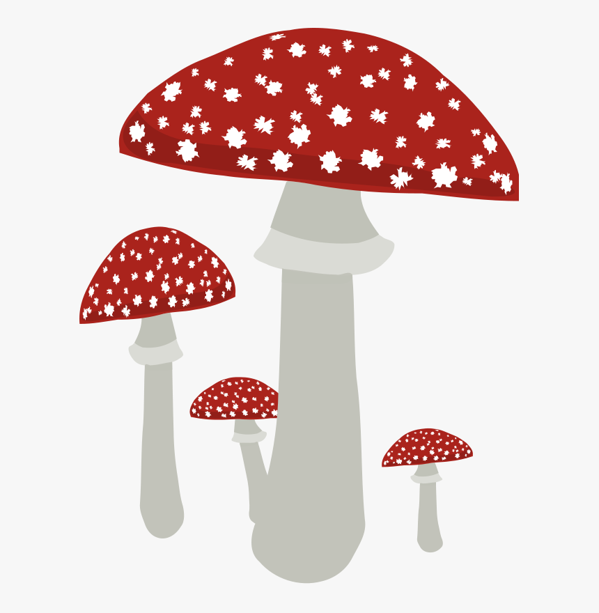 Mushrooms Clipart Image - Fungi Clipart Transparent Background, HD Png Download, Free Download