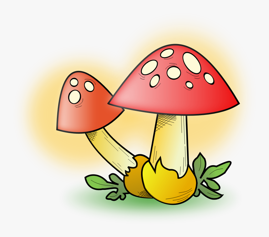 Clipart - Mushrooms - Mushroom Clipart, HD Png Download, Free Download