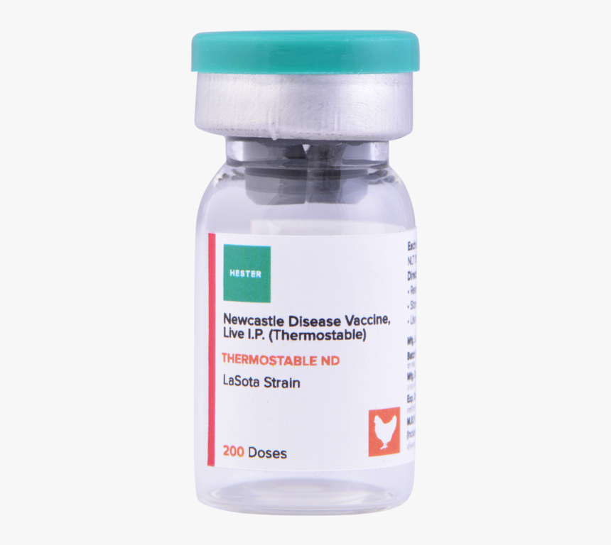 Thermostable Nd 200 - Nd Lasota Vaccine Price In India, HD Png Download, Free Download