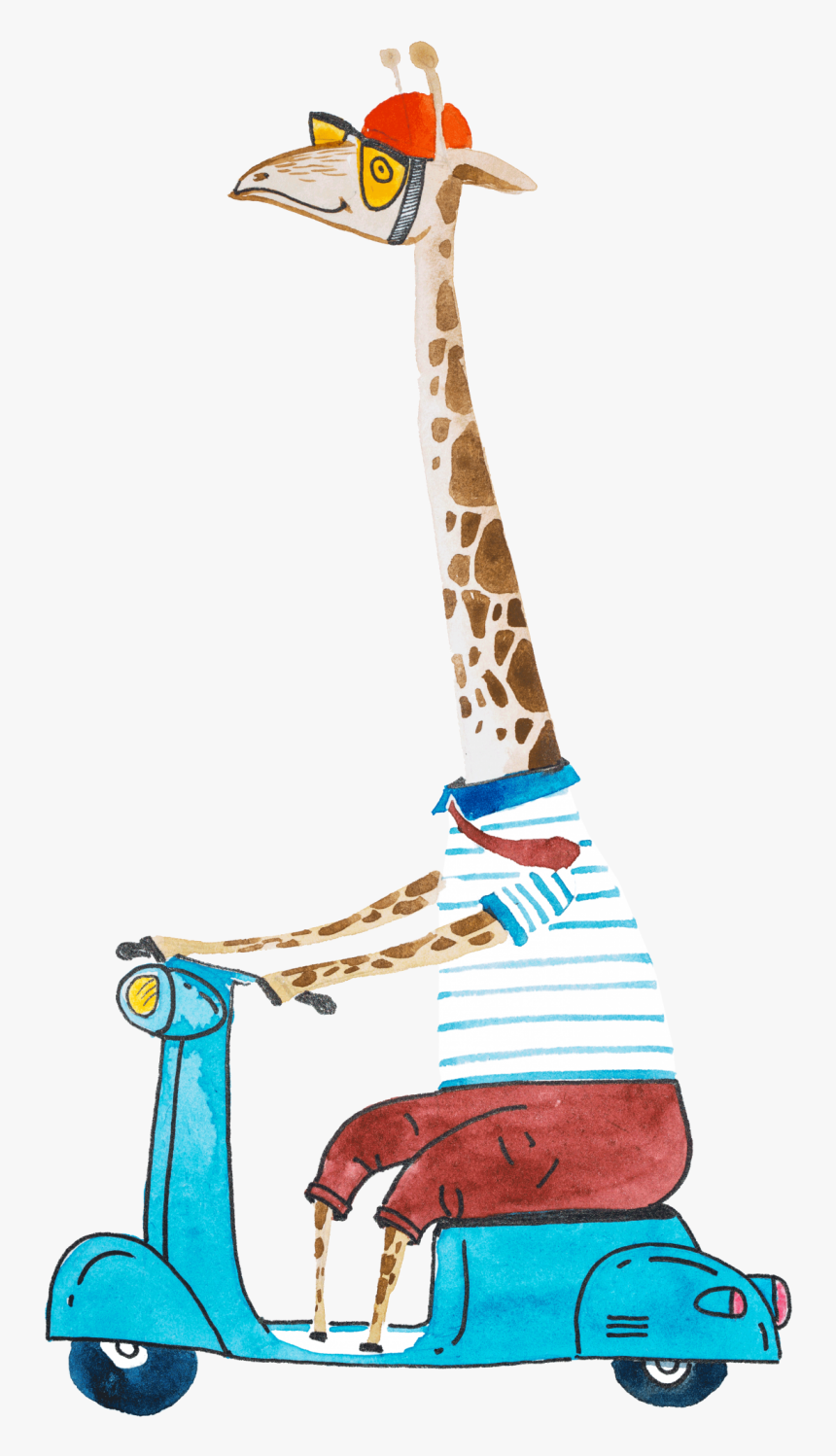 Giraffe, HD Png Download, Free Download