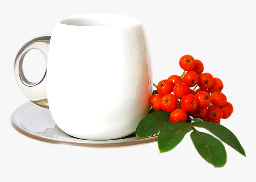 Coffee Cup Transparent Images, Green Tea Png Images - Coffee Cup, Png Download, Free Download