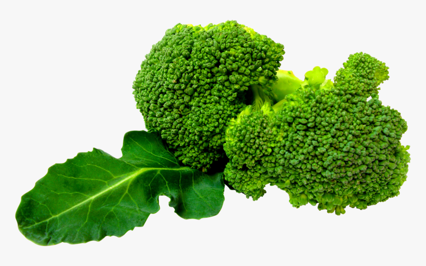 Broccoli Background Green Transparent - Broccoli Png Hd, Png Download, Free Download