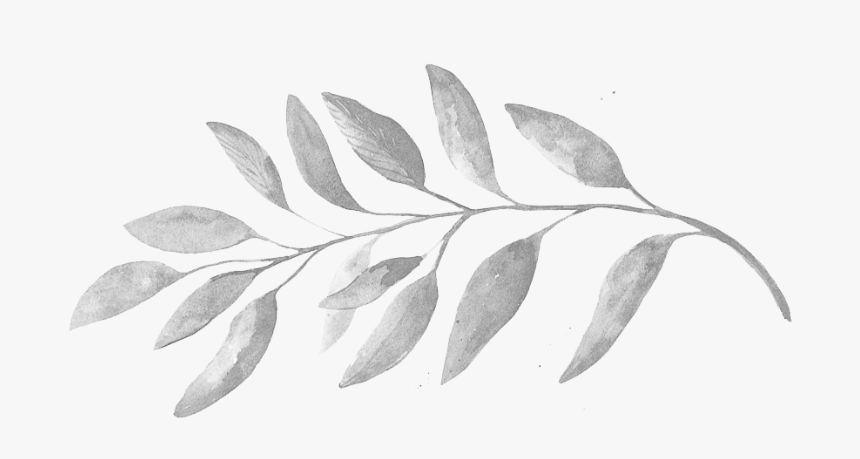 Thumb Image - Black And White Leaf Png, Transparent Png, Free Download