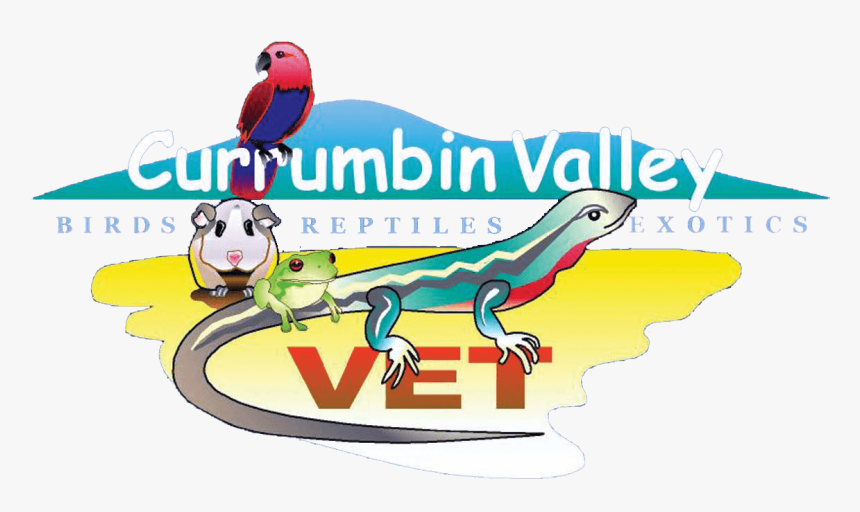 Currumbin Valley Birds & Exotic Vetrenarian Gold Coast, HD Png Download, Free Download