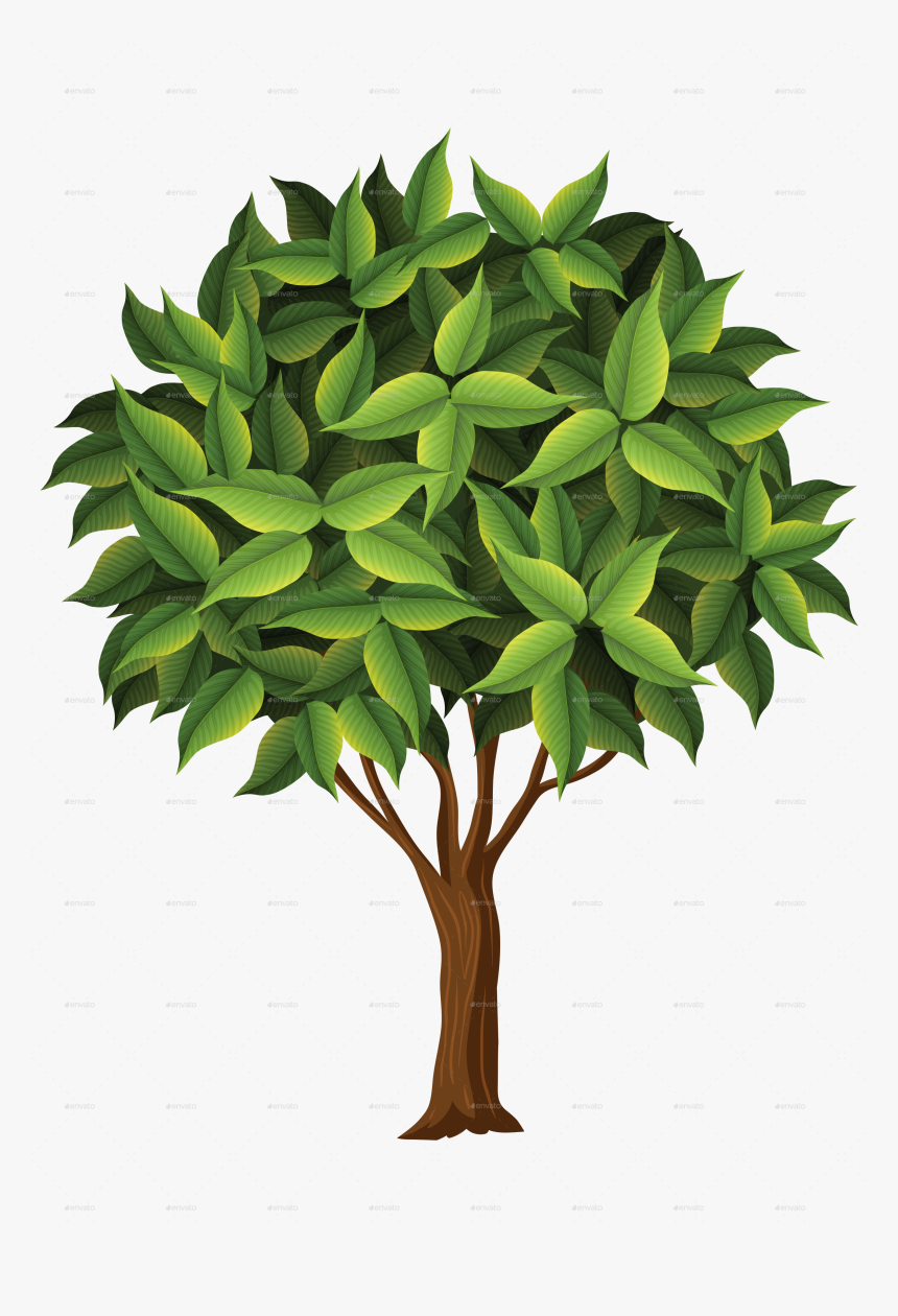 Bay Laurel, HD Png Download, Free Download